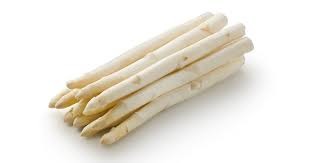 Bezoek Aspergebedrijf  Driessens Johan